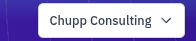 The company switcher in the top navigation bar